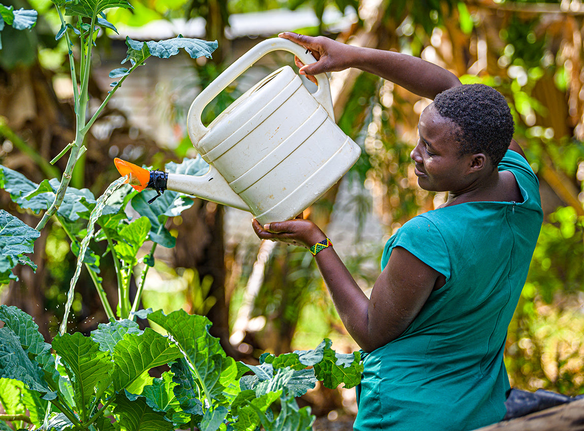  一名婦女高舉一個灑水壺，為茂盛的植物澆水。