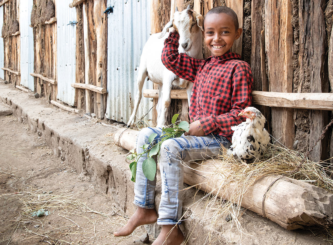 一個男孩坐在竹枝上，用右手撫摸一隻山羊。他的左面則有一隻雞在巢內。