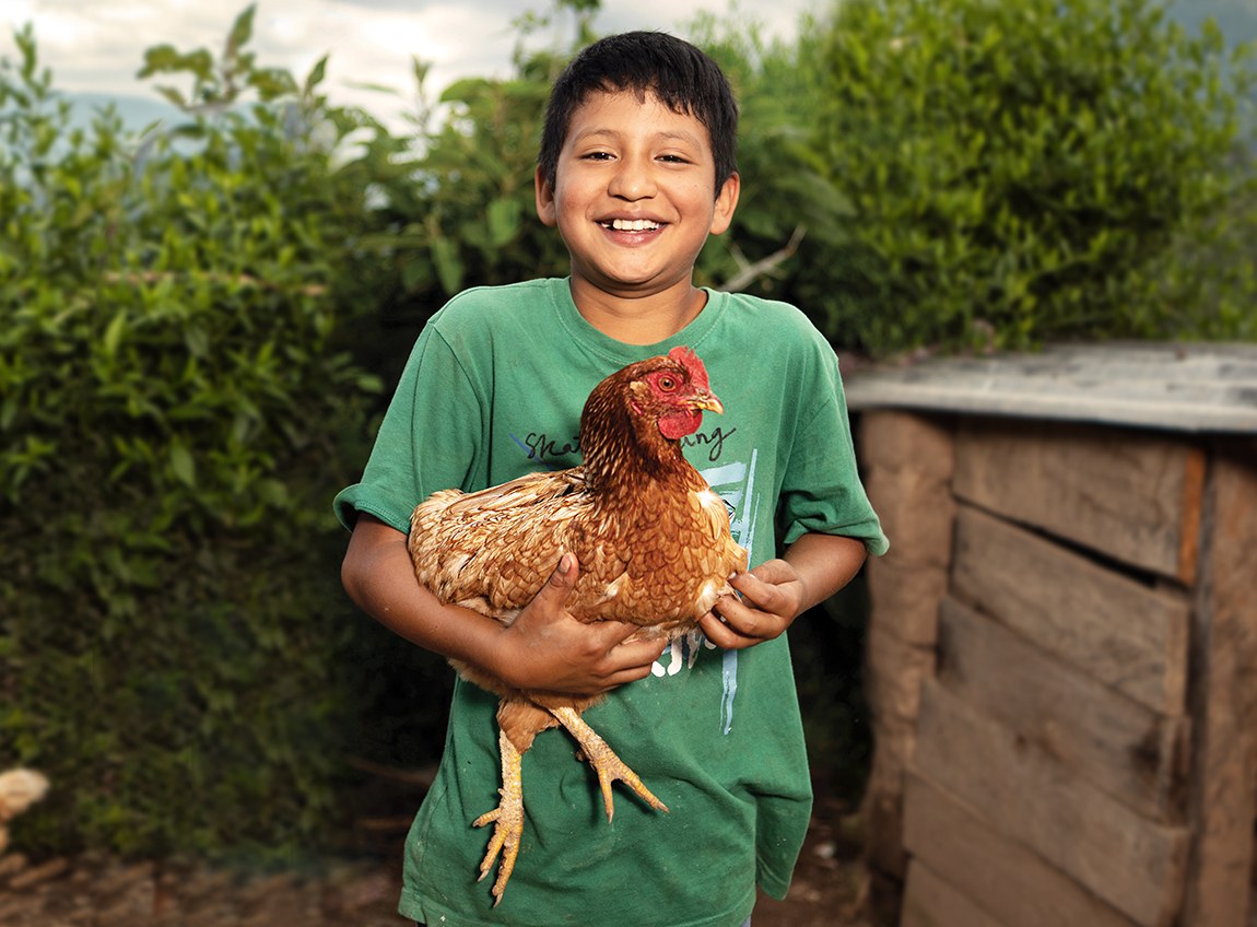 一個咧嘴而笑的小男孩，身穿綠色T恤，懷裡抱著一隻母雞。