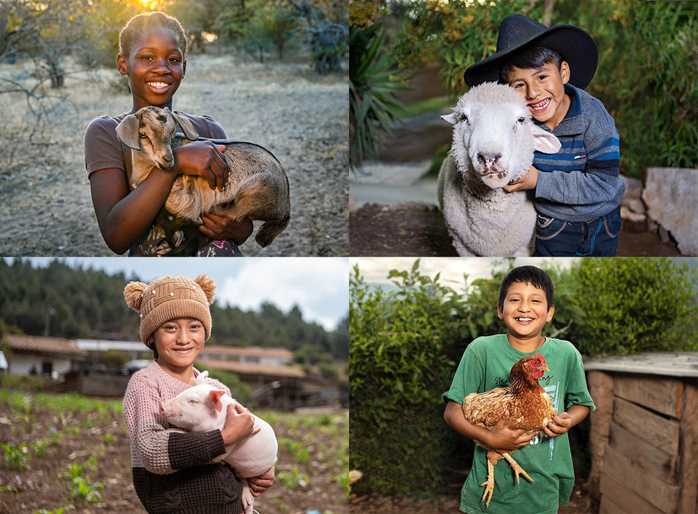 一幅拼貼圖片，其上有四款禮品建議，圖中分別有抱著山羊、綿羊、小豬及雞的小孩。