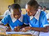 兩個穿著藍色校服的女孩子，坐在課室的桌前，互相幫助，一同做功課。