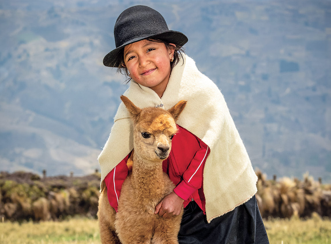 一個身穿安第斯服裝的小女孩，在一個多草的高地，擁抱著一隻羊駝。
