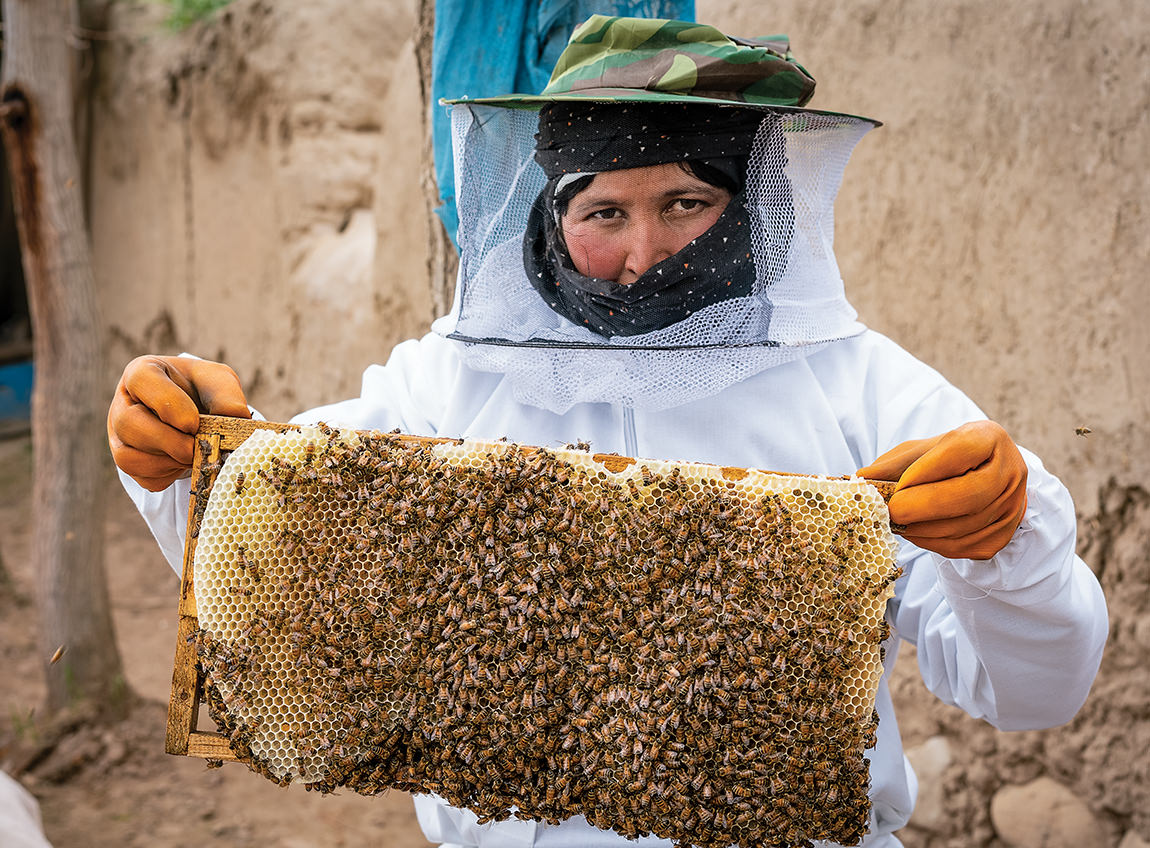 一個穿上全副保護裝備的養蜂人，拿起一個充滿蜜蜂的蜂巢。