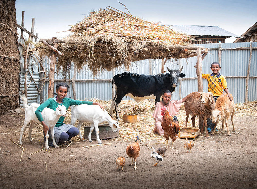 兩個女孩和一個男孩在養殖場內，四處都是農場動物。動物包括一頭牛、一隻羊，以及一些山羊和雞。