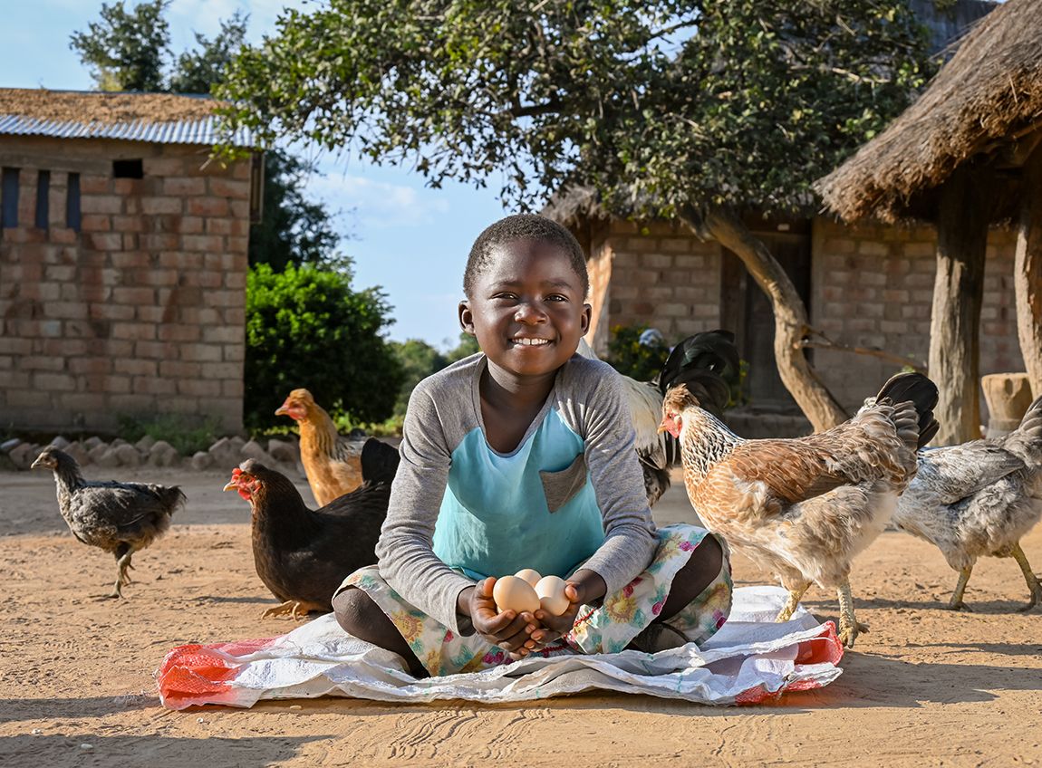 一個小孩在雞舍內盤膝坐著，並很開心地拿著三隻新鮮的雞蛋。