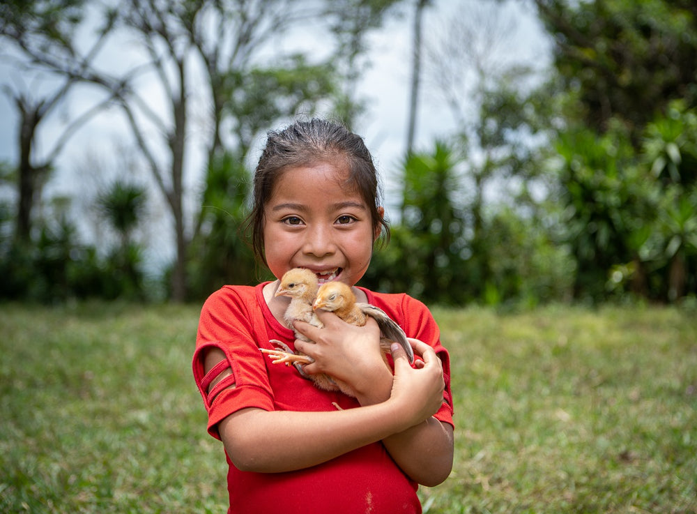 一個微笑著的小女孩，為鏡頭捧起兩隻小雞。